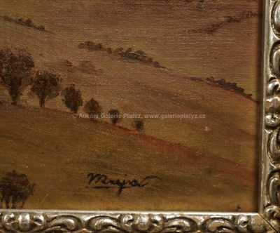  / Pohled na zříceninu / Josef Krejsa