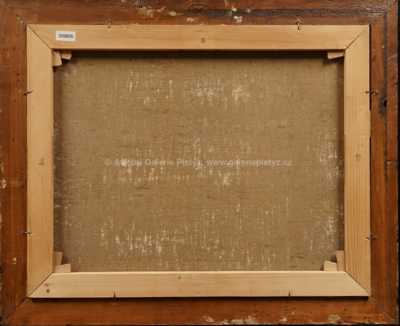  / Trosky / Josef Krčil