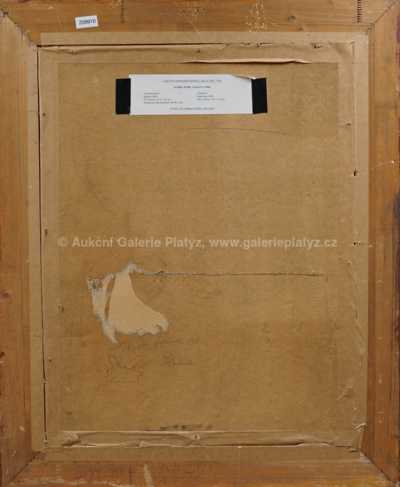  / Pradleny / Karel Hýbl