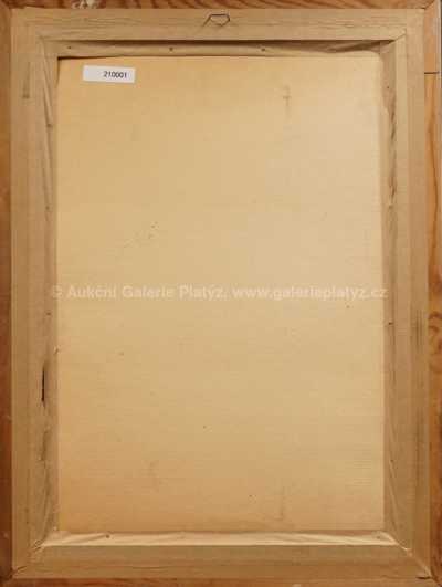  / Stojící akt / Jan  Smetana