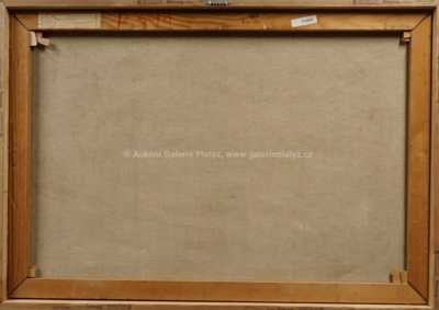  / Průhled k Vyšehradu / Jiří Procházka