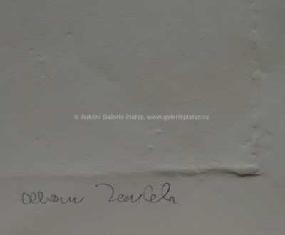  / Adam, Eva a Had / Olbram Zoubek