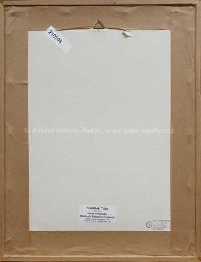  / Černoch / František  Tichý