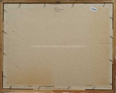  / Shledání / Alois Wachsman