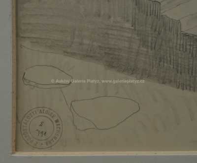  / Shledání / Alois Wachsman