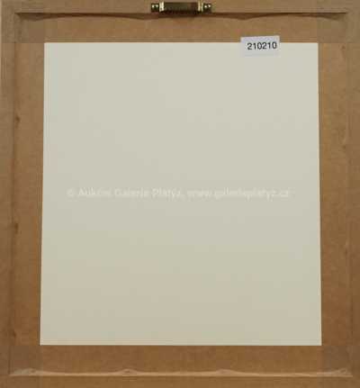  / Nedobrovolný dobrodruh / Zdeněk Burian