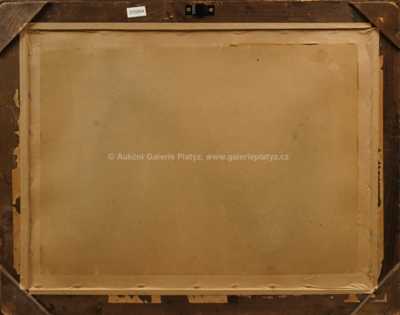  / Lesní potok / Roman Havelka