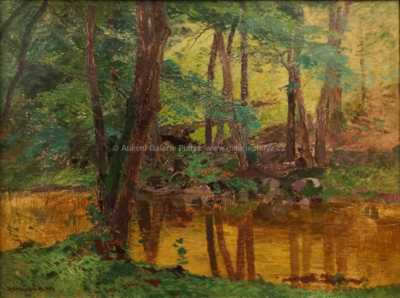  / Lesní potok / Roman Havelka