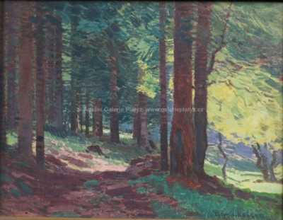  / Prosluněný les / Roman Havelka