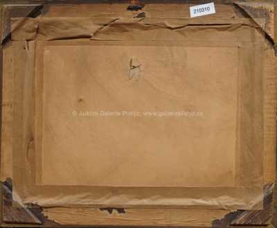  / Prosluněný les / Roman Havelka