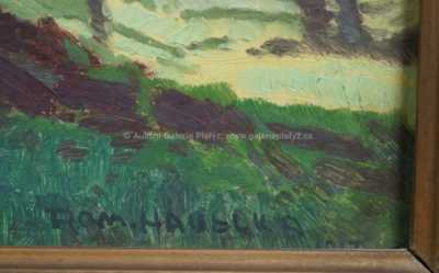  / Prosluněný les / Roman Havelka