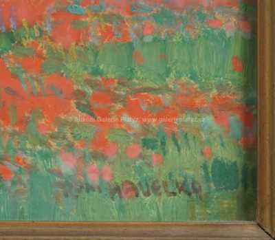  / Makové pole / Roman Havelka