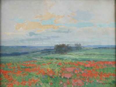  / Makové pole / Roman Havelka