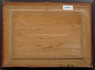  / Ticho / Karel Langer