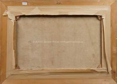  / Pohled do údolí / Antonín  Augusta