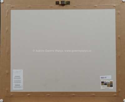  / Ve Stínadlech / Marko Čermák