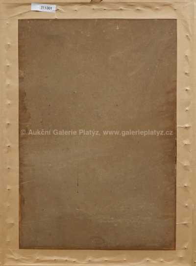  / Dívka v kroji / Miloš Jiránek