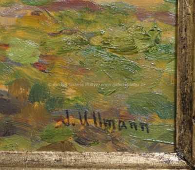  / Strom před chalupou / Josef Ullmann