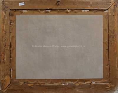  / Zima na vsi / Karel Jan Sigmund