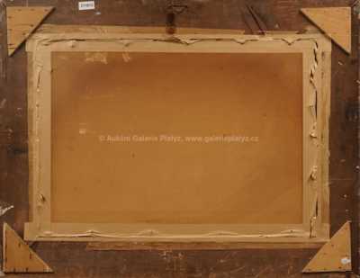  / Na cestě k rybníku / Karel Jan Sigmund