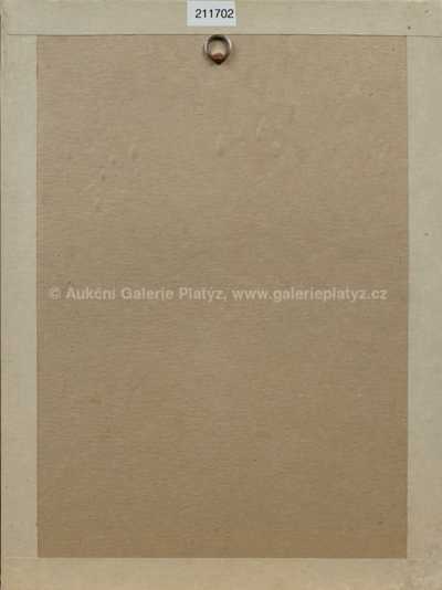  / Bílá černoška / František  Tichý