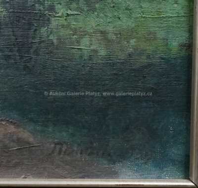  / V parku / Josef Tomáš Blažek