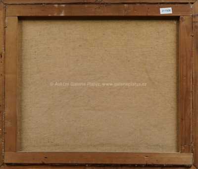  / Rozkvetlá louka /   Autor neurčen