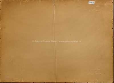  / Muž v kožichu / Vincent Plesnivý