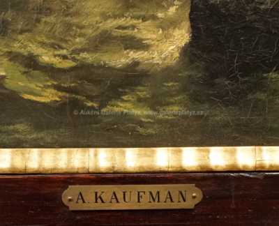  / Mořský příboj / Adolf Kaufmann