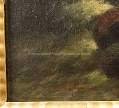  / Mořský příboj / Adolf Kaufmann