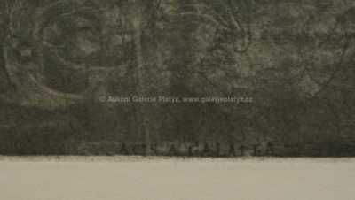  / ACIS A GALATEA / Jiří Anderle