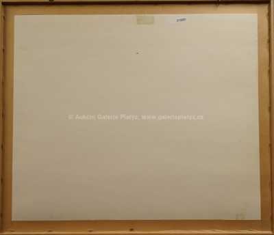  / ACIS A GALATEA / Jiří Anderle