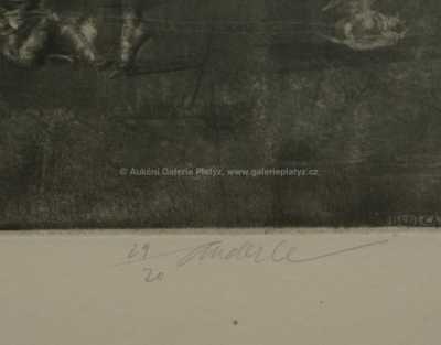  / ACIS A GALATEA / Jiří Anderle