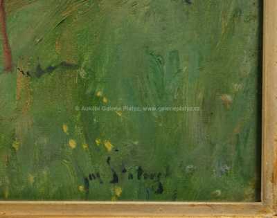  / Rozkvetlý strom / Josef Štolovský