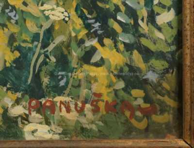  / Rozkvetlá mez / Jaroslav Panuška