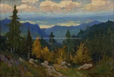  / Pohled do údolí / Roman Havelka