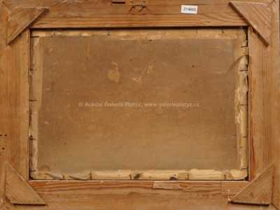  / Pohled do údolí / Roman Havelka