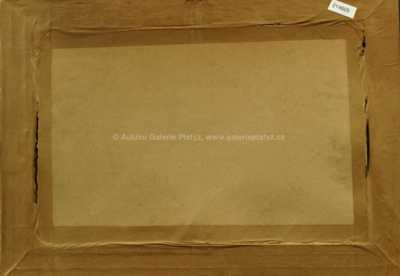  / U starého mlýna / Jaroslav Grus