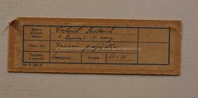  / Vánoční projížďka / Vojtěch  Sedláček