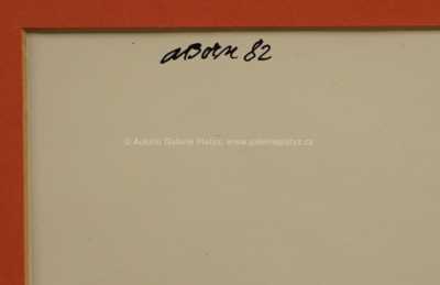  / Zděšení / Adolf Born