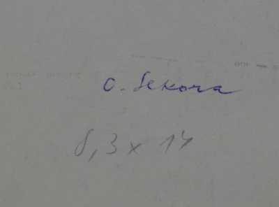  / Slon a opice / Ondřej  Sekora