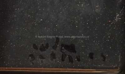  / Tvary / Endre  Nemes