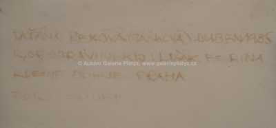  / Tanečnice / Josef Sudek