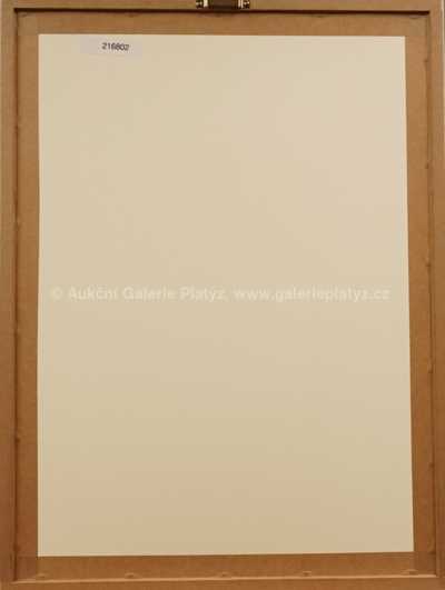  / Studie k Pravěku / Zdeněk Burian