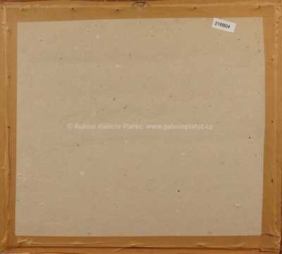  / Řetězový most / František  Tichý