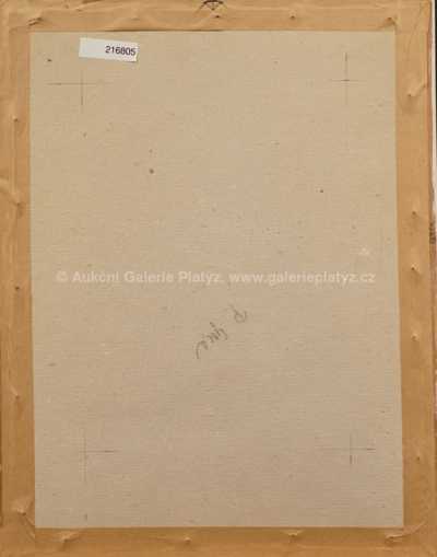  / Akt ve žlutém / Ota Janeček