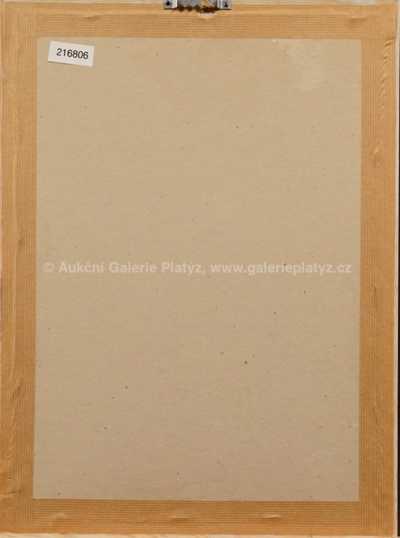  / Z Indie / František Tavík Šimon