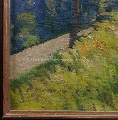  / Z hor / Franz Xaver Weidinger