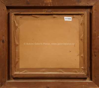  / Pohled na město / Pavel Hromnytzky