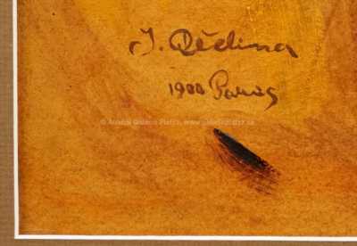  / Šička / Jan  Dědina